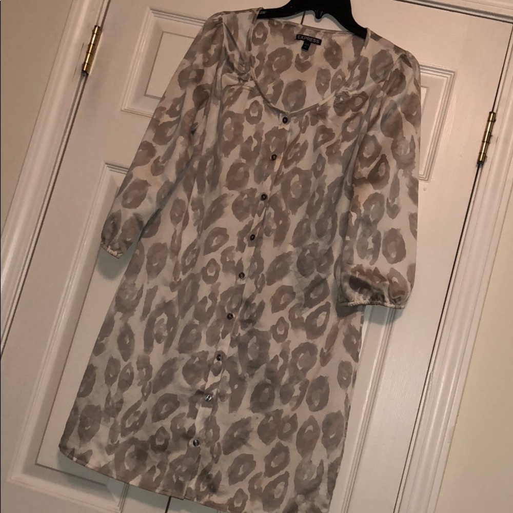 EXPRESS Silk Printed Dress